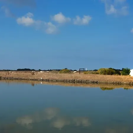 Au Passage Du Gois ביובואר-סור-מר